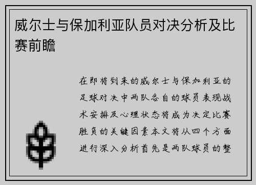 威尔士与保加利亚队员对决分析及比赛前瞻